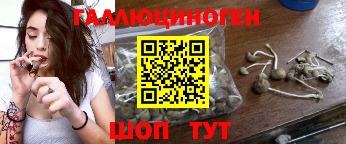 Галлюциногенные грибы мухоморы  Вход с VPN  Мелеуз 